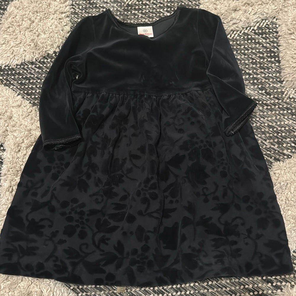 Beautiful Hanna Anderson velour dress